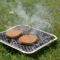 Set gratar de unica folosinta cu carbune, 48 x 30 x 6 cm, BBQ176